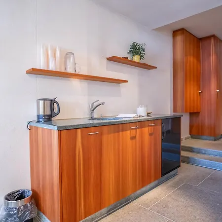 Royal A 40012 Apartamento Riederalp
