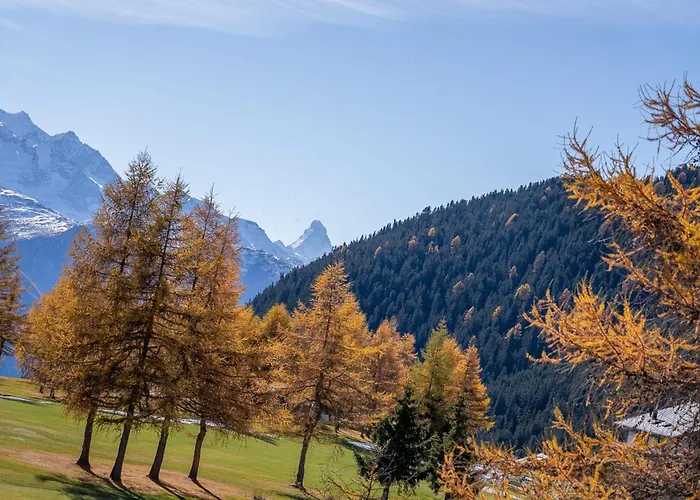 Royal A 40012 * 리더알프