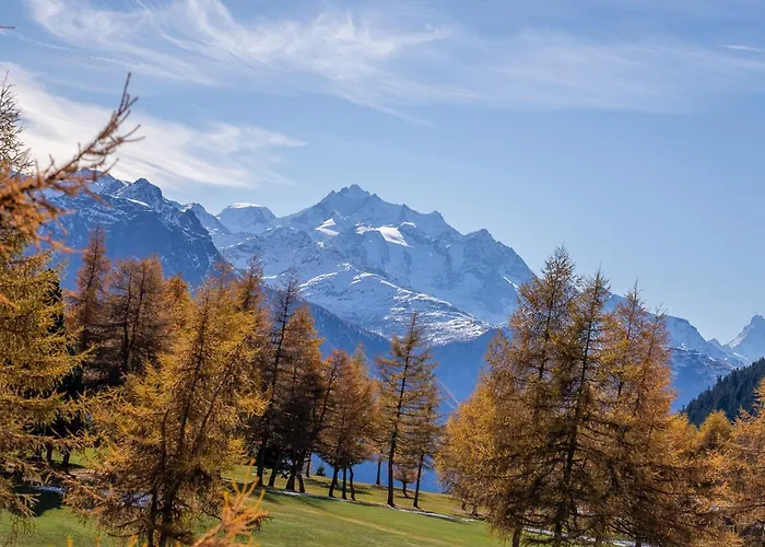 公寓 Royal A 40012 利德阿尔卑斯