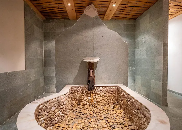 Royal A 40012 公寓 利德阿尔卑斯